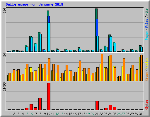 Daily usage for January 2019