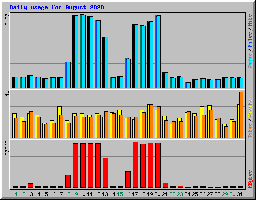 Daily usage for August 2020