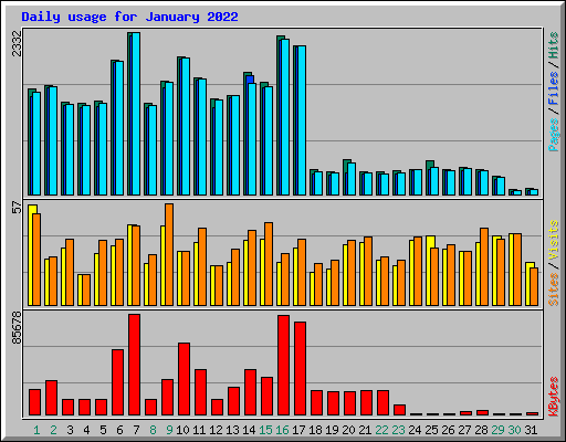 Daily usage for January 2022