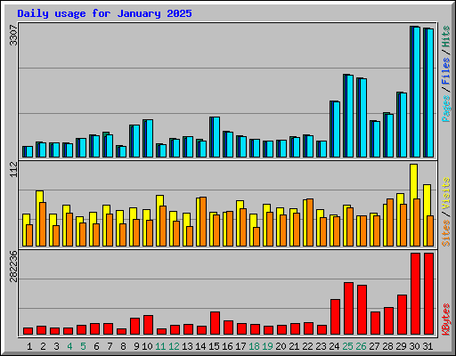 Daily usage for January 2025