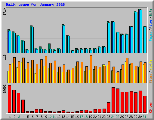 Daily usage for January 2026