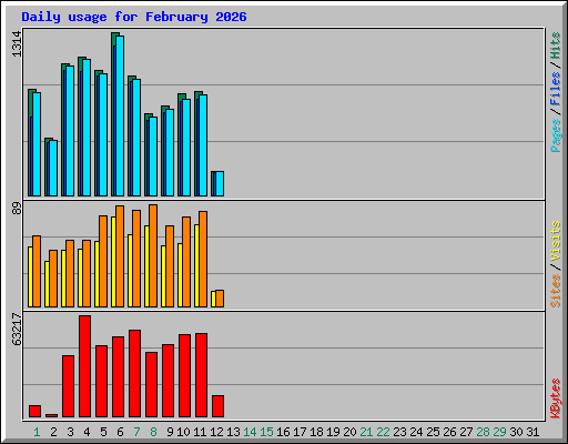 Daily usage for February 2026