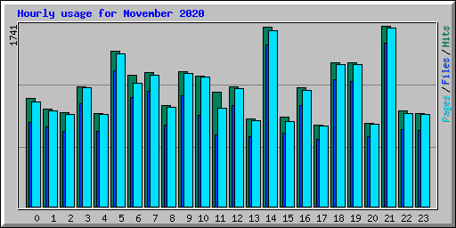 Hourly usage for November 2020