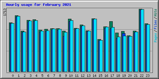 Hourly usage for February 2021