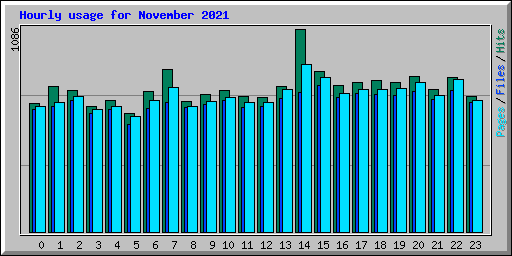 Hourly usage for November 2021