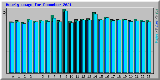 Hourly usage for December 2021
