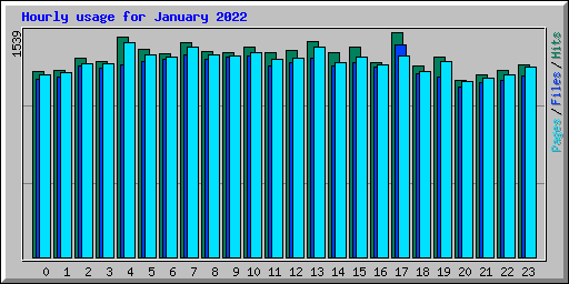 Hourly usage for January 2022