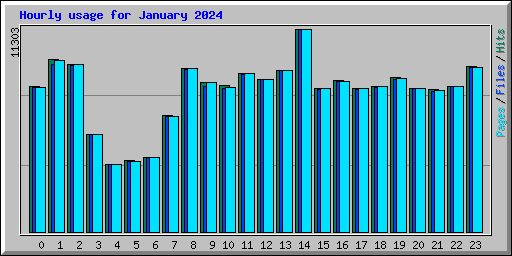 Hourly usage for January 2024