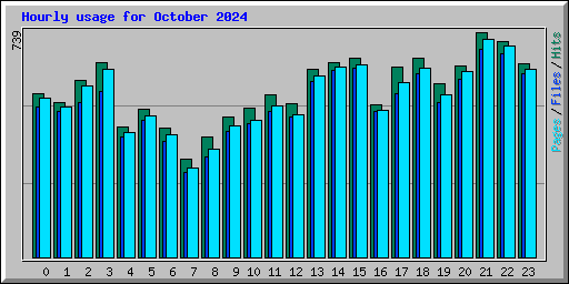 Hourly usage for October 2024