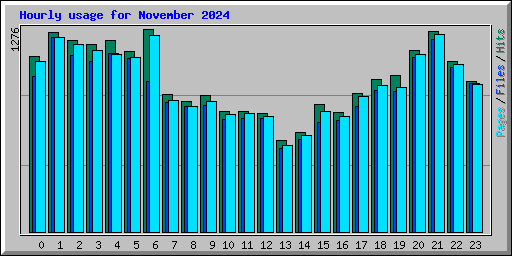 Hourly usage for November 2024