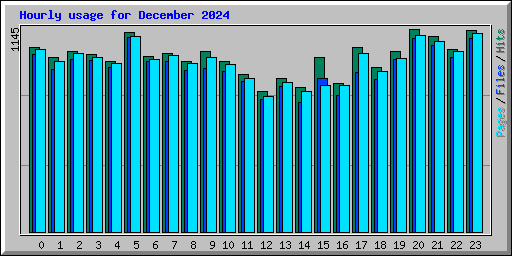 Hourly usage for December 2024