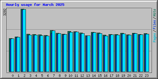 Hourly usage for March 2025