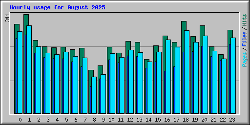 Hourly usage for August 2025