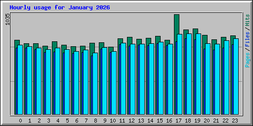 Hourly usage for January 2026