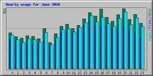 Hourly usage for June 2026